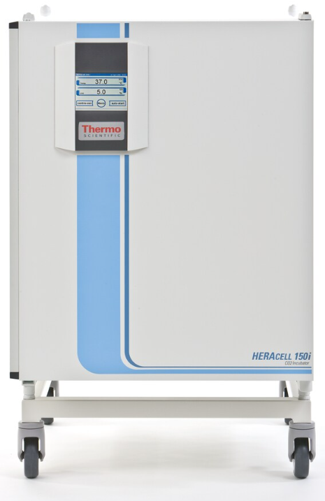 240i二氧化碳培養(yǎng)箱